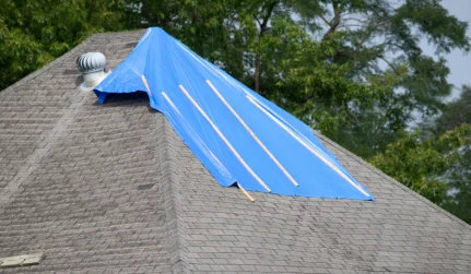 roof tarping services helena mt